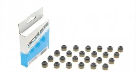 Набор сальников клапанов 24 шт. REINZ 12-52829-03