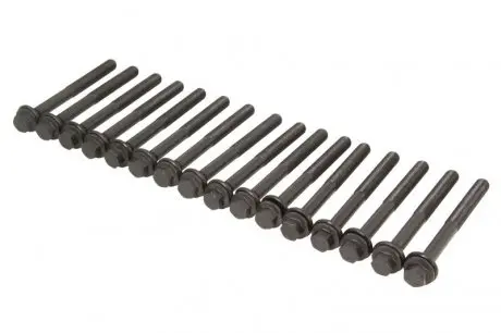 Болт головки блока REINZ 14-10415-01