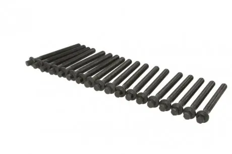 Болти головки блоку REINZ 14-10569-01