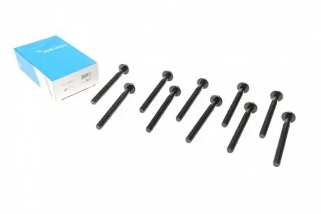 Болты головки (к-кт 10шт.) Audi 100/A4/VW Polo/Golf 1.3-2.0 90- (96mm) REINZ 14-12457-01