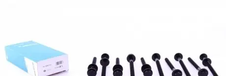 Болты головки REINZ 14-12901-01