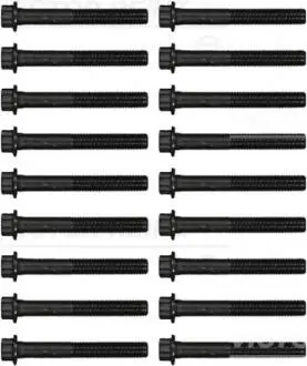 B_Комплект болтів ГБЦ MITSUBISHI L200/Pajero Sport \'\'2.5DID \'\'07-15 REINZ 141702801