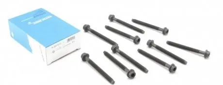 Болты гбц ford 1.6/1.8/2.0 zetec REINZ 14-32018-01