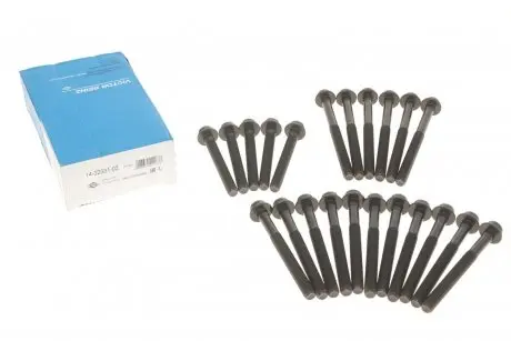 Болты головки блока MB ОМ602 (22 шт.) REINZ 14-32031-02