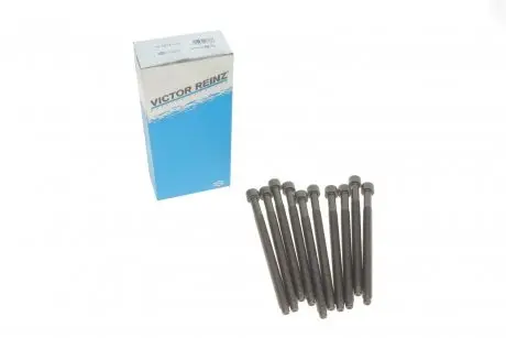 Комплект болтов ГБЦ 1.9TDI/2.0SDI/2.0TDI REINZ 14-32121-01