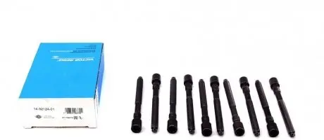 Болты гбц REINZ 14-32124-01