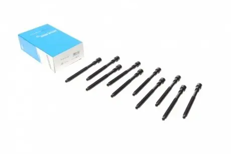Комплект болтов ГБЦ REINZ 14-32127-02