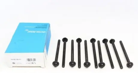 Комплект болтов ГБЦ REINZ 14-32132-01