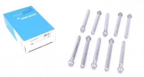 Комплект болтов ГБЦ REINZ 14-32146-01