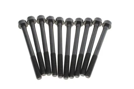 Болты головки блока Doblo/Combo 1.3JTD/CDTI 05- (10 шт.) REINZ 14-32191-01