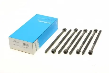 Комплект болтов ГБЦ vag a4,a6,a8,q7,touareg,cayenne,panamera 2,4-3,2 fsi,tfsi 04 REINZ 143219801