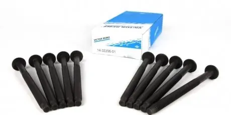 Болты головки блока Berlingo/Partner/Nemo/Bipper 1.4/1.6HDi 05- (10 шт.) REINZ 14-32206-01