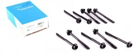 Комплект болтов ГБЦ REINZ 14-32277-01