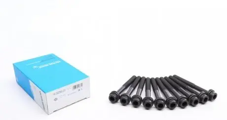 К-кт болтов ГБЦ 10шт REINZ 14-32290-01