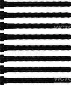 B_Комплект болтів ГБЦ VW 1.2TDI \'\'09-15 REINZ 143229902