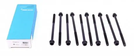 Болты головки REINZ 14-32321-01