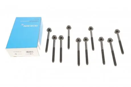 Комплект болтов ГБЦ vw jetta,polo 1,4-1,6 09- REINZ 143233001