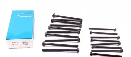 Комплект болтов ГБЦ REINZ 14-32341-01