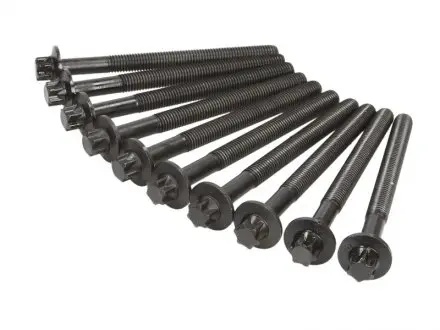 Комплект болтов ГБЦ REINZ 14-32343-01