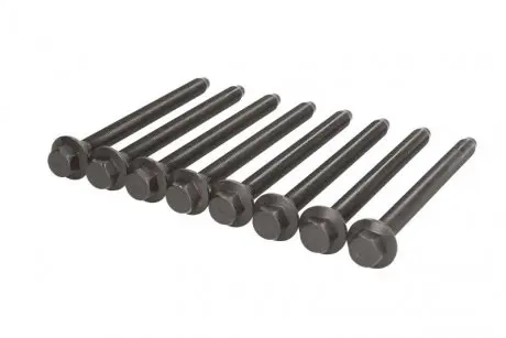 Комплект болтов ГБЦ range rover 2.7-3.0 tdv6 (надо 2 на авто) REINZ 143234401