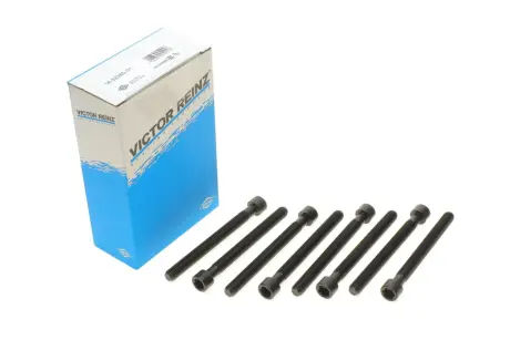 Болти головки блоку REINZ 14-32380-01