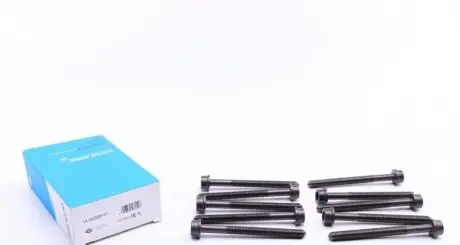 Болти головки блоку REINZ 14-32383-01