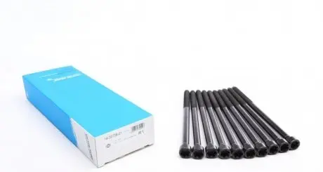 Болты головки блока Doblo 1.9JTD 01- (10 шт.) REINZ 14-35738-01