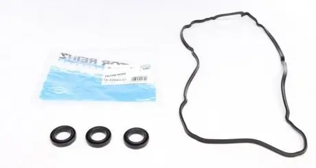 Комплект прокладок двигателя REINZ 15-43043-01