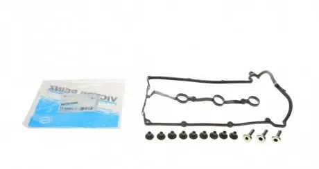 Комплект прокладок двигуна REINZ 15-52852-01