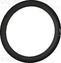 Кольцо резиновое REINZ 40-76325-10 (фото 1)