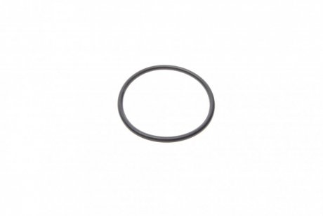 Кольцо резиновое REINZ 40-76499-00 (фото 1)