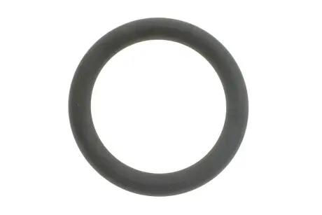 Прокладка впускного коллектора REINZ 40-76919-00