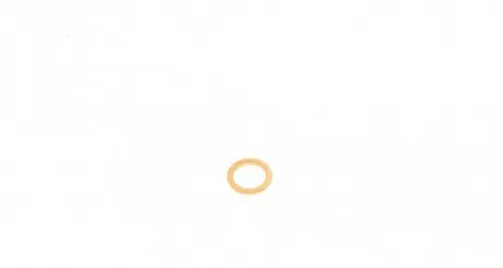 Кольцо уплотнительное пробки маслосливной REINZ 41-70059-00