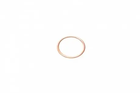 Кольцо уплотнительное пробки маслосливной REINZ 41-72065-30