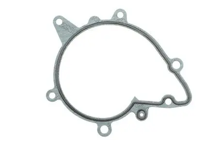 Прокладка REINZ 70-31851-00