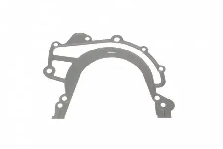 Прокладка насоса REINZ 70-31954-10