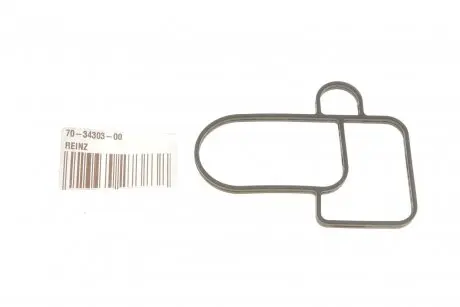 Прокладка корпуса REINZ 70-34303-00