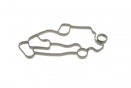 Прокладка корпуса маслянного фильтра REINZ 70-36777-00