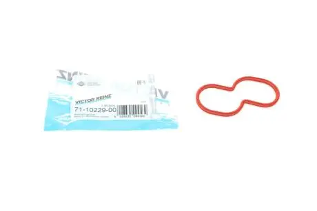 Прокладка впускного коллектора REINZ 71-10229-00