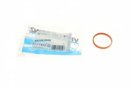 Прокладка впускного коллектора REINZ 71-11403-00