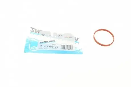 Прокладка коллектора REINZ 71-17146-00