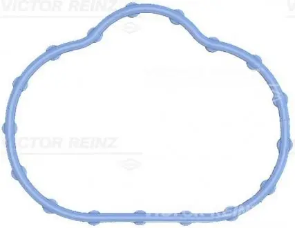 Прокладка впускного колектора REINZ 711749700