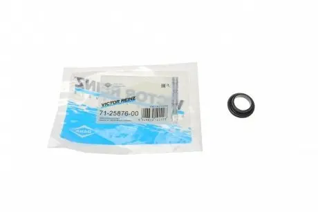 Прокладка впускного коллектора REINZ 71-25876-00
