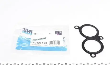 Прокладка впускного коллектора REINZ 71-31254-00