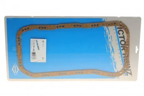 Прокладка REINZ 71-31751-00