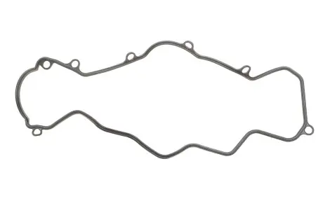 Прокладка клапанної кришки REINZ 71-33956-00