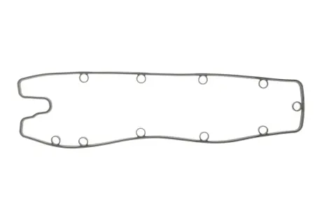 Прокладка клапанной крышки REINZ 71-34452-00