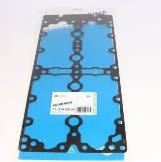 Прокладка клапанної кришки REINZ 71-37453-00
