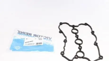 Прокладка клапанної кришки REINZ 713895800