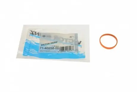 Прокладка коллектора впускного Ford Fiesta 1.25/1.4 08-17 REINZ 71-40258-00